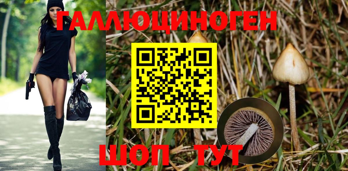 купить наркотик  Вход с VPN  Коммунар  Галлюциногенные грибы MAGIC MUSHROOMS 